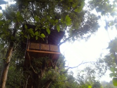 tree house 2